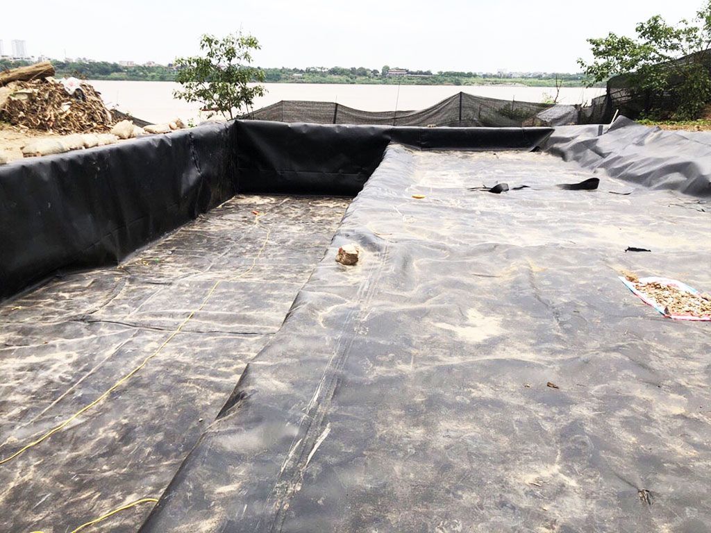 Bạt Nhựa HDPE Lót Ao Hồ Chứa Nước Nuôi Cá Tại Bình Phước