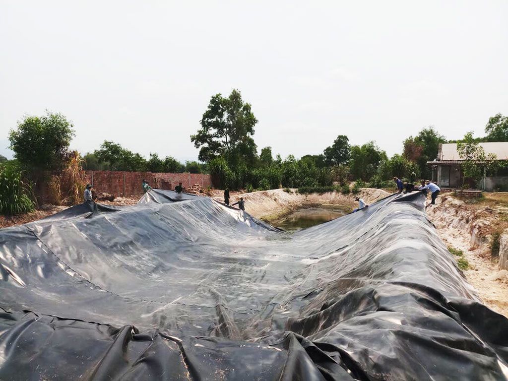 Bạt Nhựa HDPE Lót Ao Hồ Chứa Nước Nuôi Cá Tại Đắk Lắk