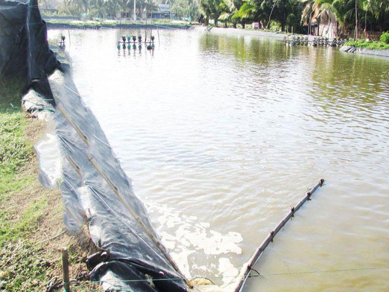 Thi Công Bạt Chống Thấm HDPE, Bạt Lót Hồ Chứa Nước Tưới Tiêu Tại Đắk Lắk Giá Rẻ