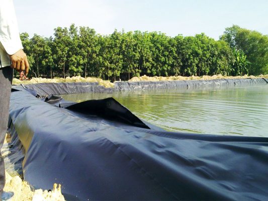 Địa Chỉ Bán Bạt Lót Hồ Chứa Nước Giá Rẻ Tại Tây Ninh, Bạt HDPE Lót Ao Chứa Nước Nuôi Cá