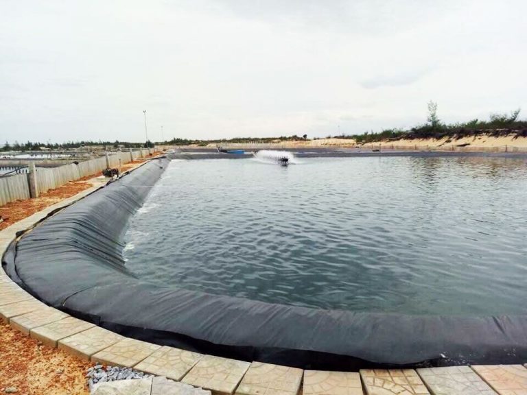 Bạt HDPE Làm Hồ Chứa Nước Tưới Cây, Nuôi Trồng Thủy Hải Sải Giá Rẻ